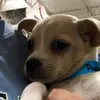 cody.max - @cody.max - TikTok