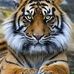 Cody McClain - Facebook