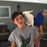 Cody Mccormick - @cody.mccormick123 - Instagram