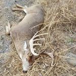 Cody McCormick - @mccormick.cody2020 - Instagram