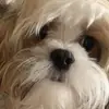 Cody McDowell547 - @mcdude25 - TikTok