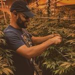 Cody McDowell - @startedfromthepottom - Instagram