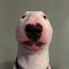 Cody - @codymcintyre39 - TikTok