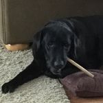 Cody Mckenna - @cody_mckenna17 - Instagram