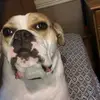 Cody - @cody.meeks06 - TikTok