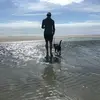 TheDuckWhisperer - @codymeeks78 - TikTok