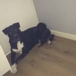 Cody - @codymelvin4 - Instagram