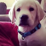 CodyMoe - @cody_moee - Instagram
