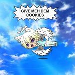Cody Moon - @cody_moon465 - Instagram