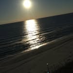Cody Mosley - @cmspam2003 - Instagram