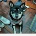 Cody Ng - Facebook