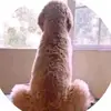 Cody Nunnery - @codynunnery69420 - TikTok