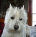 Cody Nystrom - Facebook