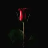 Cody Ochoa - @mr.0choa - TikTok