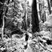 Cody Page - Facebook