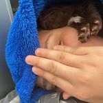 Cody Page Patrick - @codypagepatrick2007 - Instagram