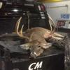 Cody Parchman - @farmercody03 - TikTok