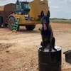 Cody Pearson - @cody.pearson20 - TikTok