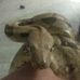Cody Pinkham - Facebook