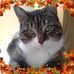 Cody Quinn - Facebook