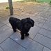 Cody Rasmussen - Facebook