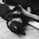 Cody Tylor Rasmussen - @codyr8511 - Instagram
