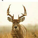 Cody - @codyreddick11 - Instagram
