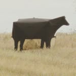 Cody Reddick Mark Reddick - @kaboss_hunting_blinds - Instagram