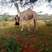 Raawi Qaadi - Facebook