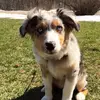 cody.risner - @cody_risner - TikTok