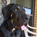 Cody Robbins - @robbins6137 - Instagram