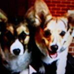 Cody Robbins - @cody.robbins.75470 - Instagram
