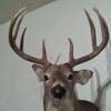 Cody Robison212 - @codyrobison212 - TikTok