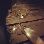 Cody Robison - @robisoc2 - Instagram