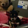 codyrowley - @codyrowley6 - TikTok