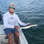 Cody Sheffield - @cjsheffield711 - Instagram