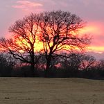 Cody Sheffield - @codywsheffield - Instagram