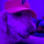 @codys.house - Instagram