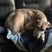 Cody Small - Facebook