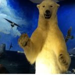 Cody Small - @harambe_23475 - Instagram