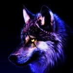 Cody Spooneybarger - @cody_spooneybarger - Instagram
