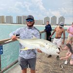 Cody Spring🎣 - @cspring66 - Instagram
