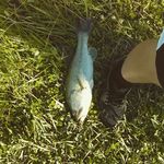 cody springer - @springer718 - Instagram
