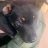 codyspry7 - @codyspry7 - TikTok