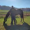 codystahl40 - @codystahl40 - TikTok