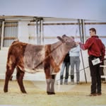 cody staples - @cody201135 - Instagram