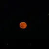 Cody Staples - @cody.staples - TikTok