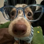 Cody Starkey - Facebook