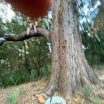 Cody Starkey - @starko41008 - Instagram