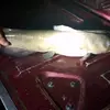 Cody starr - @cody.starr5 - TikTok